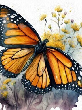 4x4 Monarch‎ Butterfly Art Print